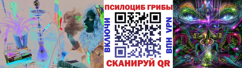 Псилоцибиновые грибы ЛСД  blacksprut зеркало  Нефтегорск 
